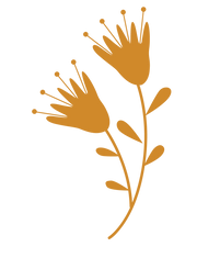 Angrasiyaa logo